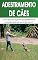 Livro ADESTRAR UM CACHORRO: Como adestrar um cão para eliminar os problemas de mau comportamento