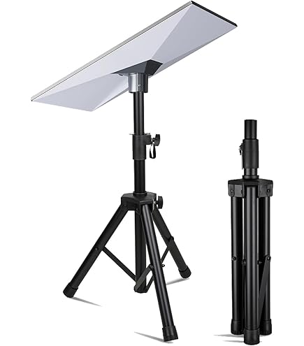 51CPrIaieFL._AC_UL495_SR435,