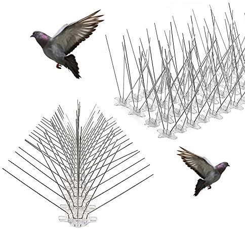 5pin Stainless Steel Bird Spikes Deterrent Spikes Repellent Fence Spikes Pack Of 10 Price In Uae Amazon Uae Kanbkam