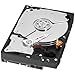 WD Caviar Black 1 TB SATA III 7200 RPM 64 MB Cache Internal Desktop 3.5