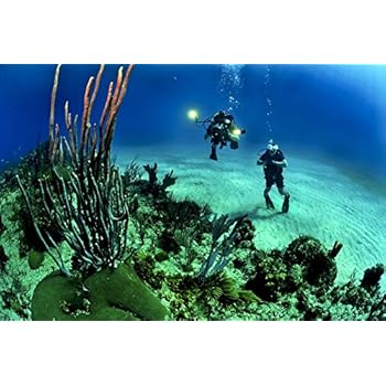 Amazon Com Scuba Diving Poster Print 24x36 Sports Poster Print