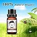 100% Natural Organic Hair Growth Essence Moustache Brow Beard Oil Neu 2018 10ml
