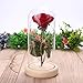 Adoeve Pink Rose Enchanted Red Silk Rose and LED Light in Glass Dome on a Wooden Base Artificial Flowers