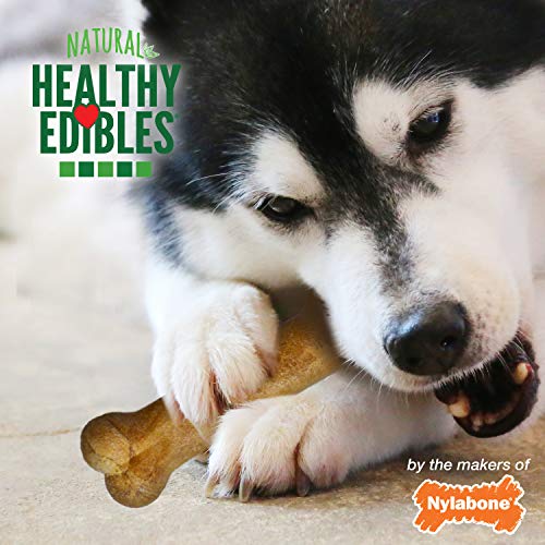 Nylabone Healthy Edibles LongLasting Dog Treat Variety Pack Natural