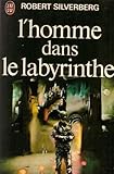 Image de L'homme dans le labyrinthe