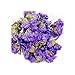 TooGet Fragrant Dried Flowers and Herbs Accessories Decorations 9 Bags Set Dry Flowers for Soap Bath Bombs Making and Dried Flower Crafts
