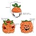 Legendog Dog Halloween Shirt, Pet Clothes, Cute Cat Dog Halloween Pumpkin Costumes, Dog Apparel, Halloween Costumes for Dogs, Creative Halloween Pumpkin Shirts for Dogs