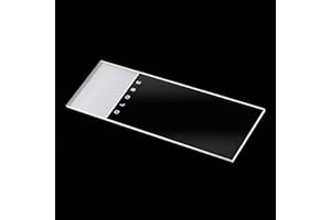 Globe Scientific 1304-144 Borosilicate Glass Microscope Slide, 90° Ground Edge, 25 mm W x 75 mm L, Frosted (Pack of 144)