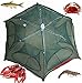 Noa Store Fishing Bait Net Trap Cast Dip Cage Crab Fish Minnow Crawdad Shrimp Foldable NEW