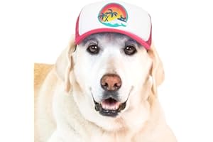 Sunset Collection, PupLid Trucker Hats for Dogs (Large) Premium Stylish Sun Protection for The Modern Dog - Adjustable for Secure Comfortable Fit on Active Dogs (Pink, Surfer Dog)