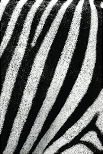 Amazoncom Zebra Print Journal Log Doodle Sketch Drawing