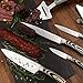 La Cote 5 Piece Chef Knives Set Japanese Stainless Steel Wood Handle with Block (Pakka Wood Zerba with Block)