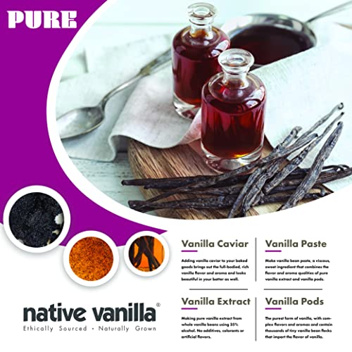 Native Vanilla Grade B Tahitian Vanilla Beans 10 Total Premium