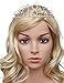 BABEYOND Crystal Birthday Tiara Crown Princess Birthday Crown Hair Accessories Happy 18th Birthday Crown Tiara for Women (18 Birth)