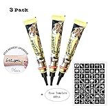 3 Pack Upgraded Temporary Tattoo Paste Cone India Art Drawing Kit Tattoo Stickers with 48 x Adhesive Stencil, Color Black