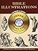 Bible Illustrations (Book & CD-ROM)