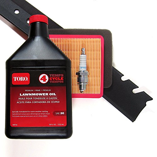 Toro Recycler OHV Engine (Serial Range 313000001 and UP) Tuneup Kit