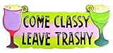 Hand Carved Wooden COME CLASSY LEAVE TRASHY Cocktails Parrot Drinking BEACH HAPPY HOUR Sign