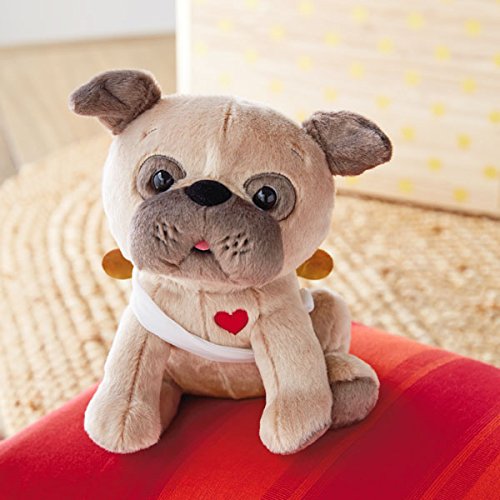 valentines pug teddy