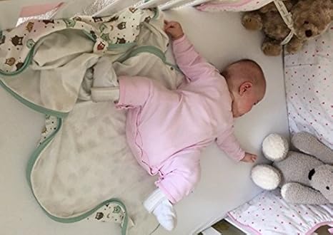 pavlik harness sleeping bag