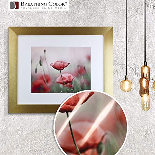 Vibrance Metallic Photo Printer Paper 10 mil 255 gsm Premium Photo