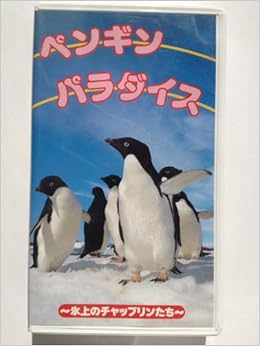 ペンギンパラダイス 氷上のチャップリンたち Vhs ビデオ Nhk 本 通販 Amazon