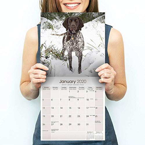 German Shorthair Pointer Calendar 2020 - Dog Breed Calendar - Wall Calendar 2019-2020 - //medicalbooks.filipinodoctors.org