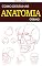 Livro Como Desenhar Anatomia: Crânio