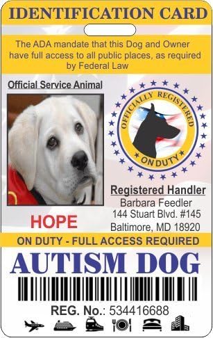 Holographic Autism Service Dog ID Badge