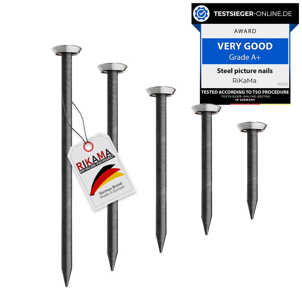 RIKAMA® 50 Picture Nails in Mix of 10 x 20 mm, 25 mm, 30 mm, 40 mm, 50 mm - Steel Nails for Use on Concrete, Brick, Plaster & Wood - Made in Europe (Silver with Holder)