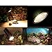 Sun Lamp Reptile Heat Lamp UVA + UVB Full Spectrum Sun Lamp Sunbathe Reptile Lizard Lamp UV Heating Lamp (Small, Sliver)