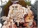 T M P Intl Twisted Fairy Tales Humpty Dumpty