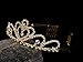 Gold Costume Princess Crown Cosplay Birthday Crowns with Comb Pin Crystal Bridal Wedding Tiara for Girls & Women