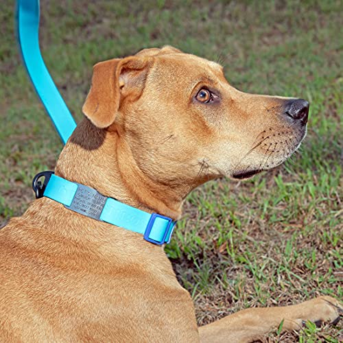 Leashboss Pet ID Tags for Dog and Cat Collars Personalized and