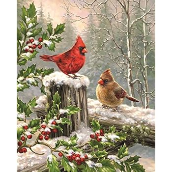 Wamika Winter Birds Garden Flags 12 x 18 Double Sided, Cardinal Red Bird Holly Berry Branches Snow Welcome Winter Holiday Yard Outdoor House Flag Banner Party Home Christmas Decorations