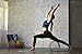 Gaiam Yoga Wheel, Cork