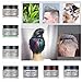 Fabal DIY Hair Clay Wax Mud Dye Cream Grandma Hair Ash Dye Temporary 7 Colors (B)