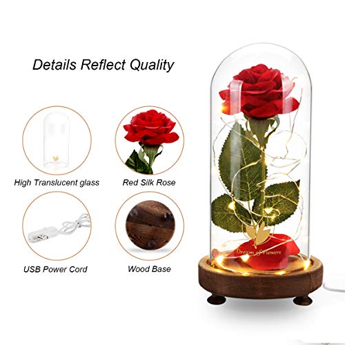 Dream of Flowers Beauty and The Beast Rose Kit, Red Silk Rose Lasts Forever in a Glass Dome with LED Lights, Gift for Women Mothers Day Valentine's Day Wedding Anniversary