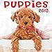 Puppies 2019 Wall Calendar by 