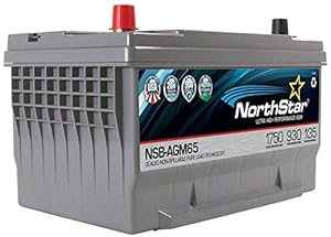 5. NORTHSTAR Pure Lead Automotive Group 65 Battery NSB-AGM65