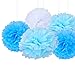 eBoot Tissue Paper Pom Poms Flower For Wedding Party Decoration, 10 Inch, Pack of 9