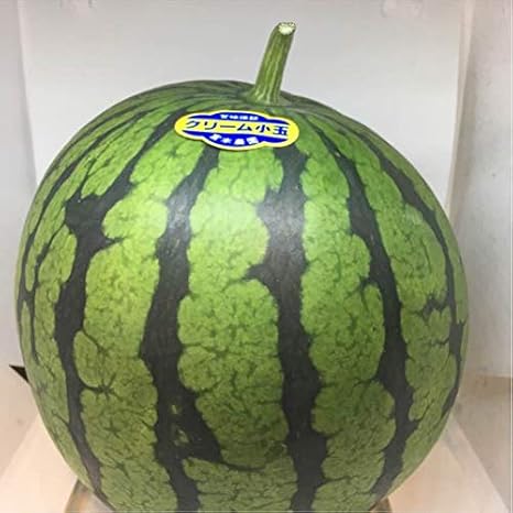 Amazon クリーム小玉西瓜 フルーツひろは 果物 通販