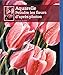 Comment peindre des fleurs à l'aquarelle : De la photographie à l'aquarelle en six étapes simples by