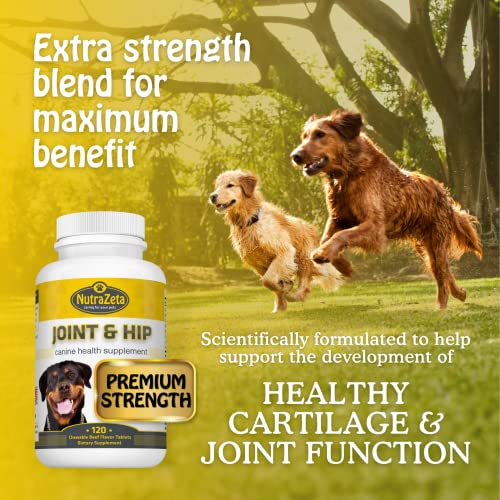 Premium 800mg Glucosamine for Dogs Hip & Joint Supplement 120