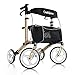 OasisSpace Aluminum Rollator Walker, with 10'' Wheels and Seat Compact Folding Design Lightweight Baking Complimentary Carry Bag (Champagne)