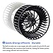 AUTEX HVAC Blower Motor Assembly Compatible with BMW 323i 2001-1999/BMW 323ti 328i 2000-1999/BMW 325Ci 330Ci 2006-2001/BMW 325i 325xi 330i 330xi 2005-2001/BMW 328Ci 2000/BMW X3 2010-2004 700165