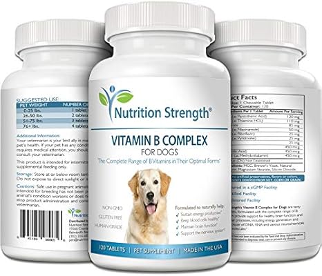my dog ate vitamin b complex