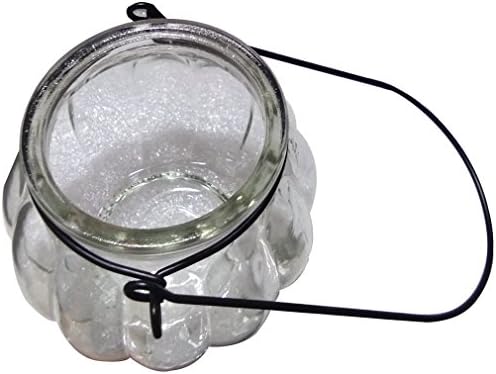 TheTimeBus Glass Wall Vases