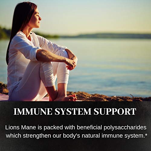 Lion's Mane Mushroom, 60 Capsules 500mg Each, Nerve Growth Factor (NGF) & Nootropic (Focus