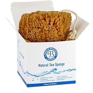 Jordan Benedict Natural Sea Sponge - Natural Sea Sponge for Bath and Shower